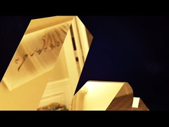 デュプレックスオイル・シッター デュプレックス・オイル・フィルター