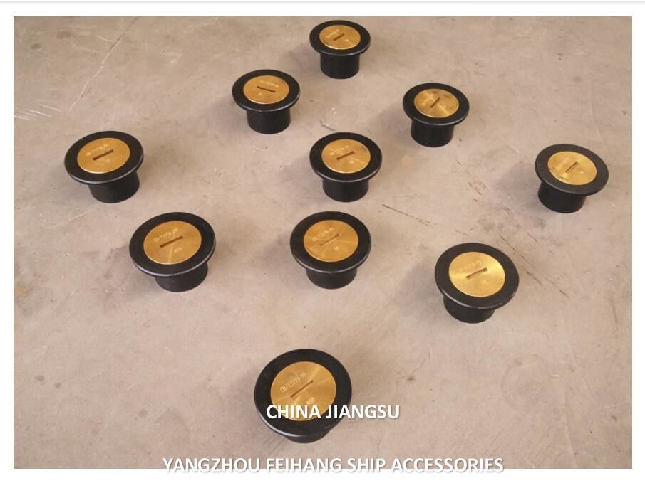 ソーディングパイプヘッドタイプA65 Cb/T3778 ソーディング注射ヘッドボディ 鋳造鋼 キャップ 青銅