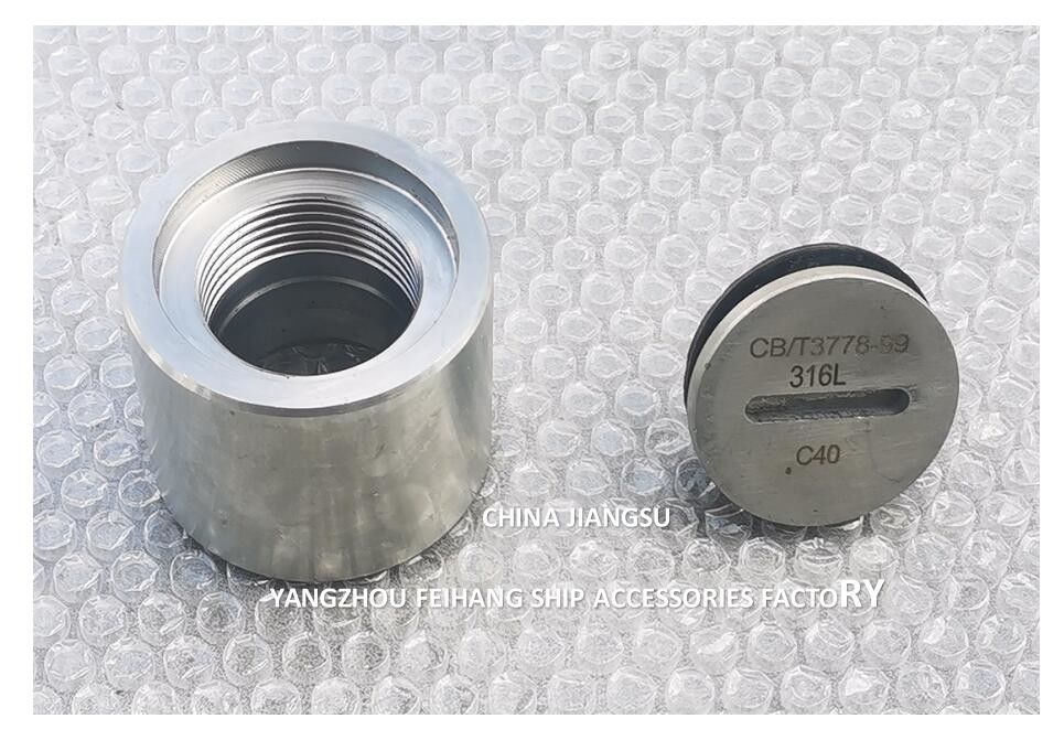 DN40-DN150 鋳造鋼 ソーディングチューブ 弾筋タンク用のパイプヘッド バット 溶接接続