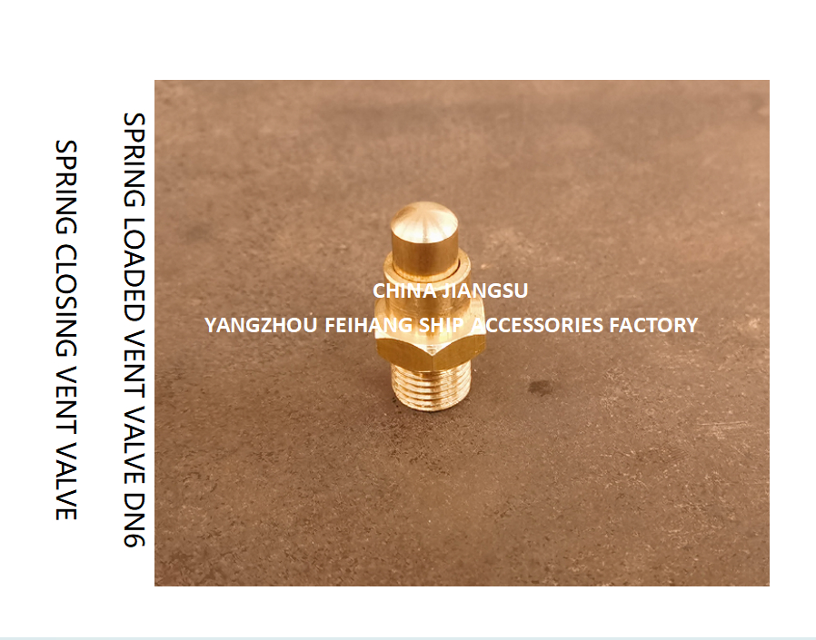 DN6 Brass Spring Loaded Vent Valve with Threaded Ends and CB/T3778-1999 Standard