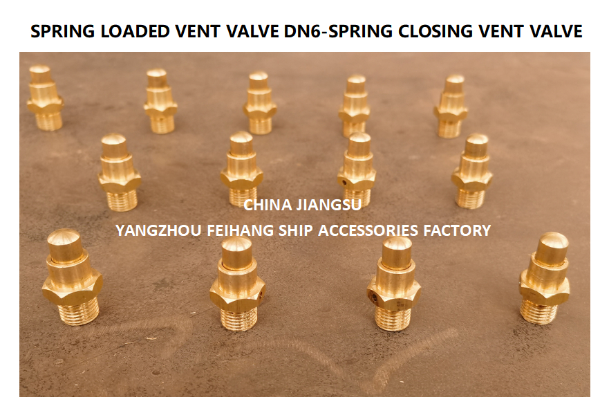 DN6 Size Spring Loaded Vent Valve with Threaded Connection Compliant to CB/T3778-1999 Standard