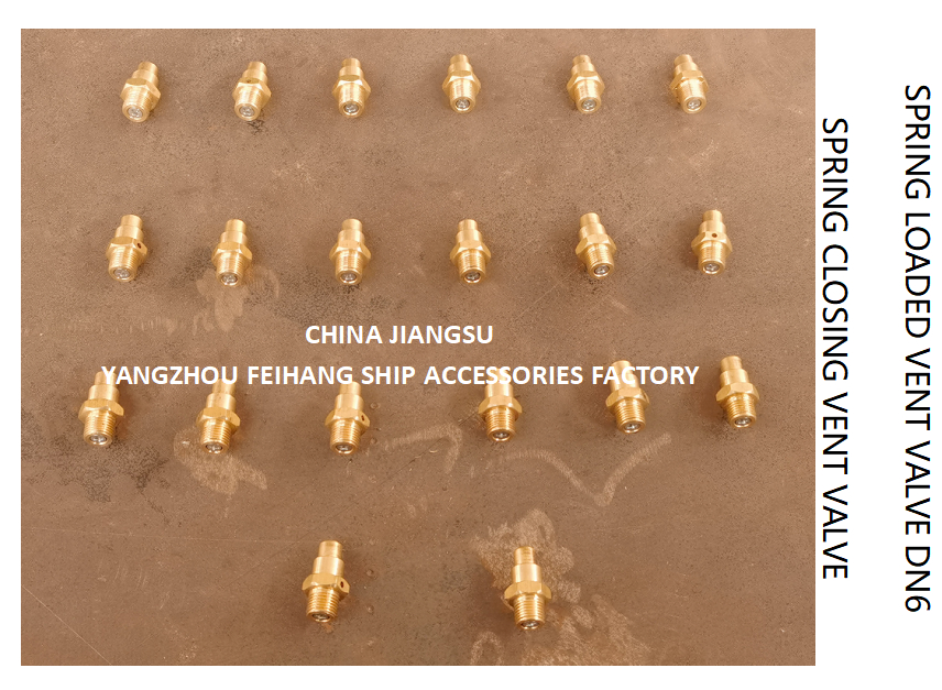 DN6 Size Spring Loaded Vent Valve with Threaded Connection Compliant to CB/T3778-1999 Standard