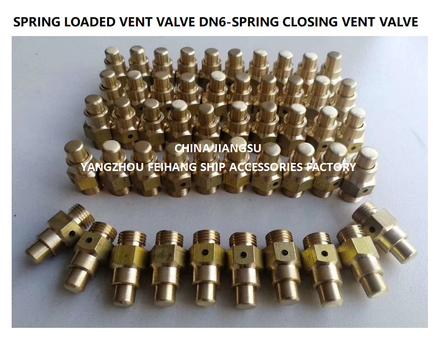 DN6 Threaded Spring Loaded Vent Valve with CB/T3778-1999 Standard for Marine Applications