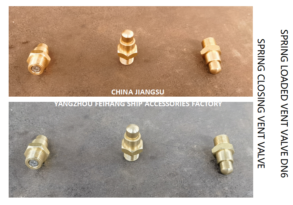 DN6 Spring Loaded Vent Valve with Thread M13 Connection Compliant with CB/T3778-1999 Standard