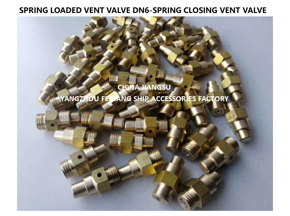 DN6 Spring Loaded Vent Valve with Thread M13 Connection Compliant with CB/T3778-1999 Standard